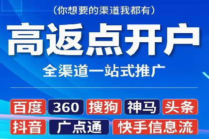 SEM运营策略案例分析